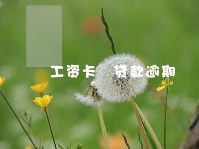 工资卡 贷款逾期 工资卡 贷款逾期